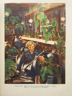 Комнатное садоводство / Ред. Киселёв Г. М., 1956.